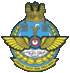 Airforce brunei.gif