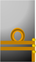 Csn sleeve cmdr.png