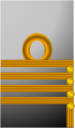 Csn sleeve flag.png