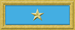 Csn strap lieut.png