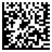 Пример DataMatrix(текст)