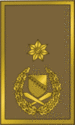 Brigadni General