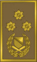 General-pukovnik