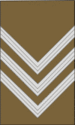 Kaplar