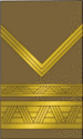 Viši narednik