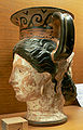 Canthare janiforme 01.JPG