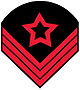 CSAOrdSergeant.jpg