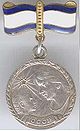 Motherhood Medal2.JPG
