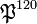 \mathfrak{P}^{120}