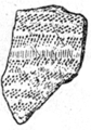Neolit Ceramic sample Donets3.png