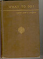 WhatToDo-CountLyofNTolstoi.jpg