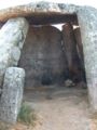 Anta orca de pendilhe 0484.JPG