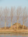 Balje haus oste.JPG