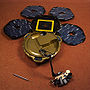 Beagle2.jpg
