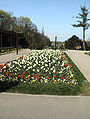 DSCF6490.JPG