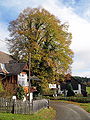 Kleindombra Linde 2006.JPG