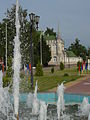 P1020063.JPG