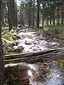 Rio Moros.jpg