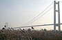Runyan Bridge 1.jpg