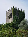 Torre de Penegate.JPG