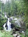 Triberg1.jpg