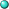 Turquoise pog.svg