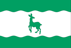 Флаг