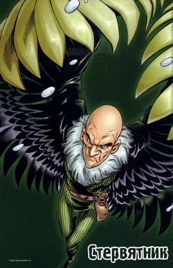 Vulture 01.jpg