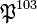 \mathfrak{P}^{103}