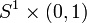 S^1 \times (0,1)