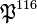 \mathfrak{P}^{116}