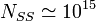 N_{SS}\simeq 10^{15}
