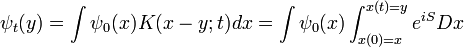  
       \psi_t(y) = \int \psi_0(x) K(x-y;t) dx = \int \psi_0(x) \int_{x(0)=x}^{x(t)=y} e^{iS} Dx \,
